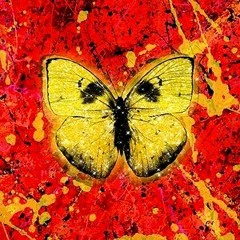 Shivers (Stephanie Gravel Remix) - Ed Sheeran