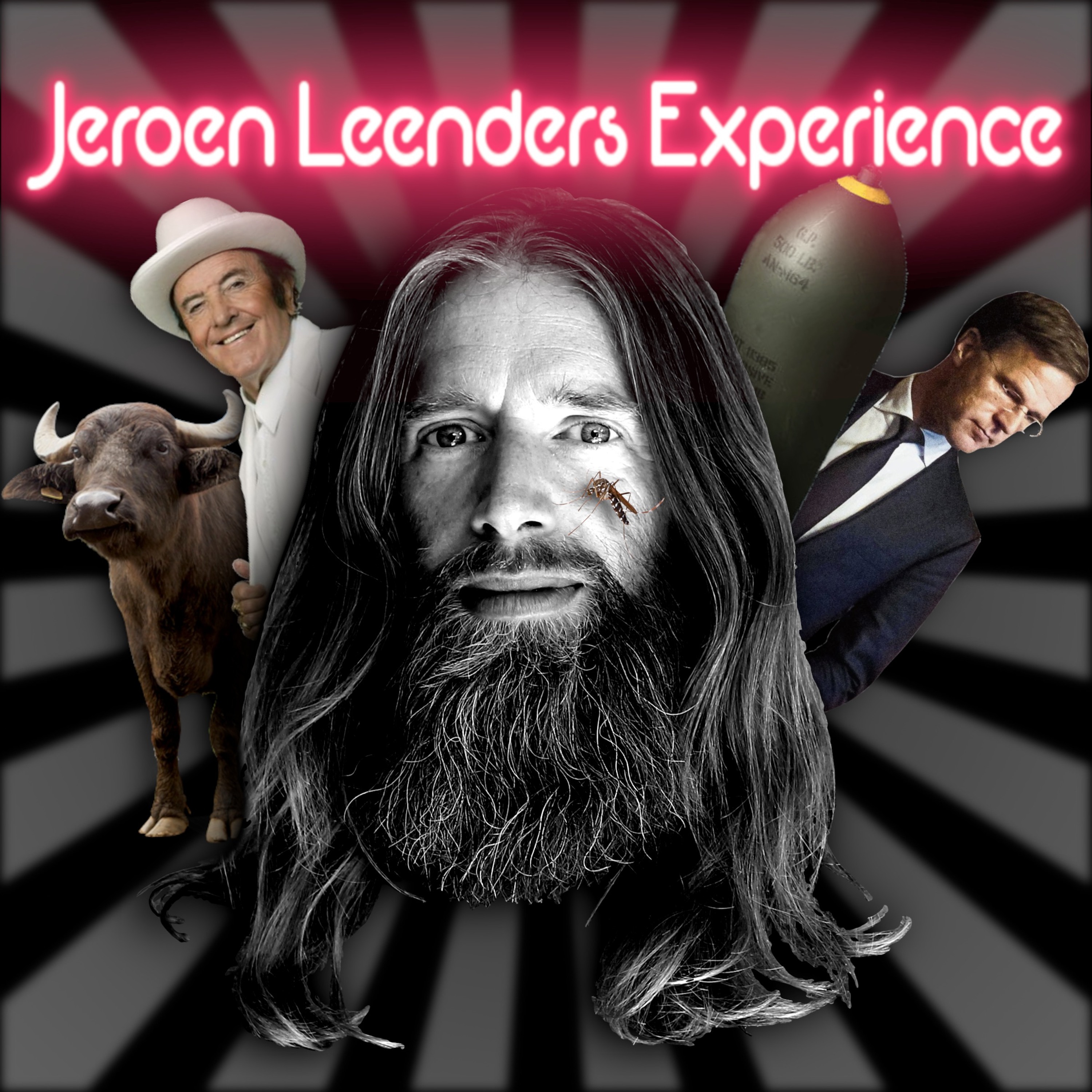 Jeroen Leenders Experience