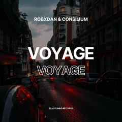 Voyage Voyage