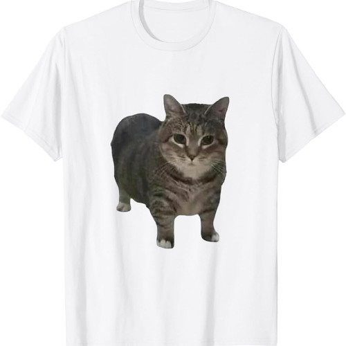 OIIA Cat