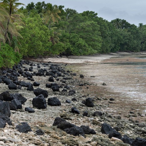 Stream World Environment Day a chance to spark action to restore ailing ...