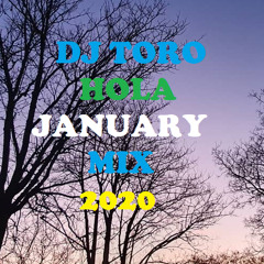 DJ TORO - HOLA JANUARY MIX (2020)