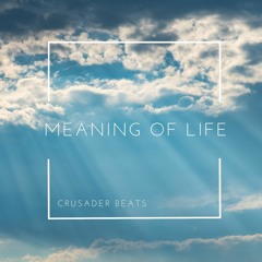 Meaning Of Life