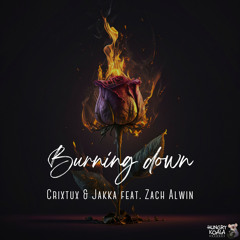 Crixtux, Jakka - Burning Down feat. Zach Alwin (Radio Edit)