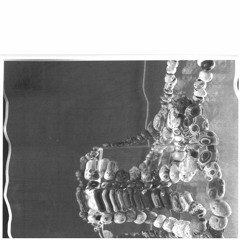 Octalisk - Hiddensee (Gunmetal Dub)(SPL)