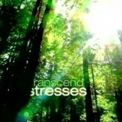 gettin highh (exhale runtz & kubelis)