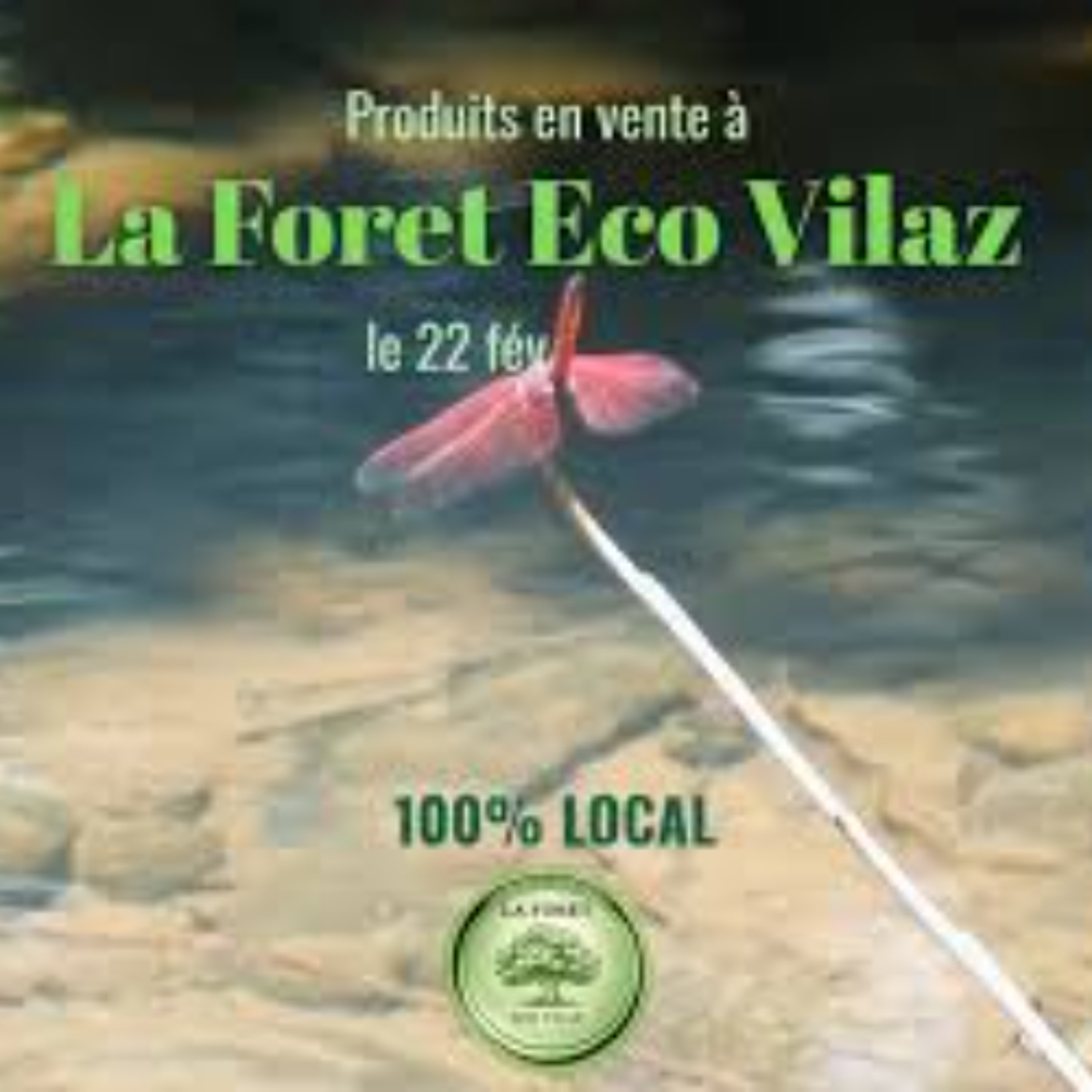 La Forêt Eco Vilaz : un village écologique pour découvrir l’agriculture locale et durable à L’Escalier episode artwork