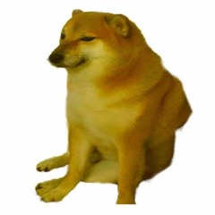 кис-кис - клетка