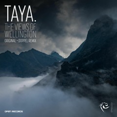 PREMIERE: TAYA - The Views Of Wellington (Doppel Remix) [Open Records]