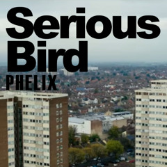Serious Bird