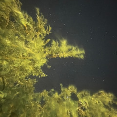 Under Yo Skin (ft. canyouseetheghost) [prod. cabernett]