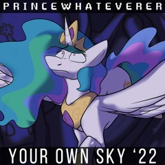 Your Own Sky '22