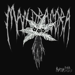 Mandragora