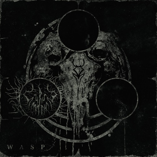 CURSE MARK - WASP