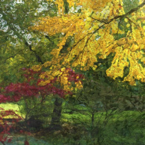 HerbstSpaziergang (walk in fall)