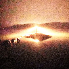 från död växer liv