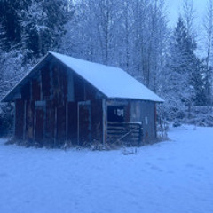 The man for you, Demo