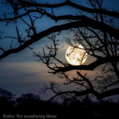 Under the wandering Moon