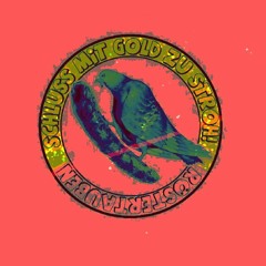 Angriff der Röstertaube (200 bpm Elsterglanz Funtrack)