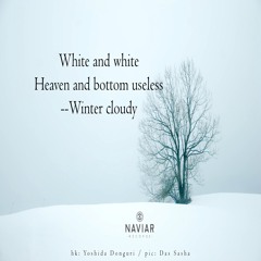 halF whitE [naviarhaiku421]