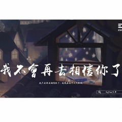 BigYear大年 - 我不會再去相信你了