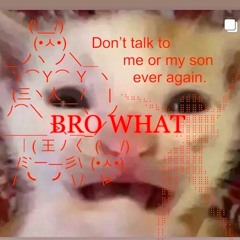 dresden feat phixel v3 જ⁀➴ᡣ𐭩