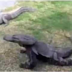 Earrape Deluxe Evolved