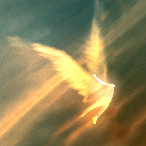 HIGHER