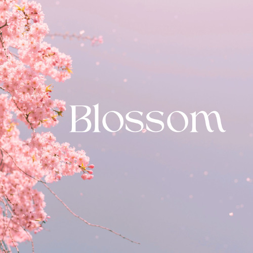 Blossom