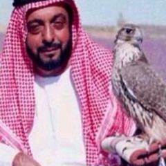يوم شفناكم على الشاشه - اصيل ابوبكر