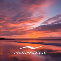 Numarine 2025 The Day Playlist