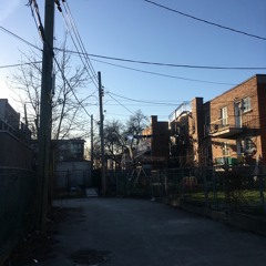 Montreal alleyway on the first nice afternoon of spring