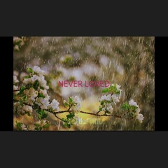 Never Loved ~ Geno thaTurtle