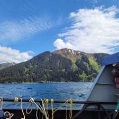 Chiming Gongs and Smoking Bongs