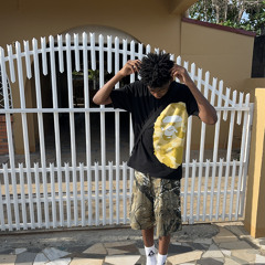 10.03.2024 pullup demo.m4a