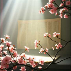 文の光 (Text of Light)