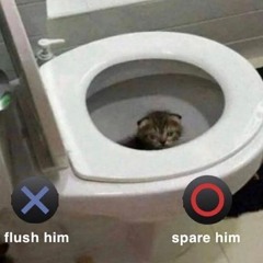 Shatter (Wardub Response)