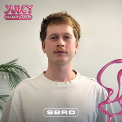 CultureCast041 - SBRD