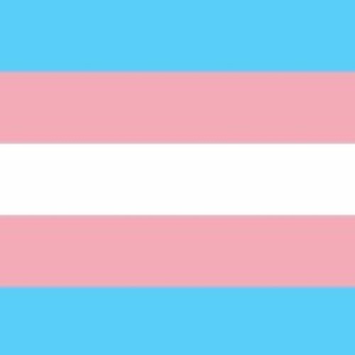 Oh yeah, by the way, I'm trans :3