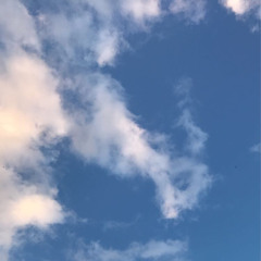 évaporé