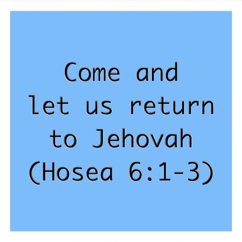 Come and let us return to Jehovah (Hosea 6:1-3)