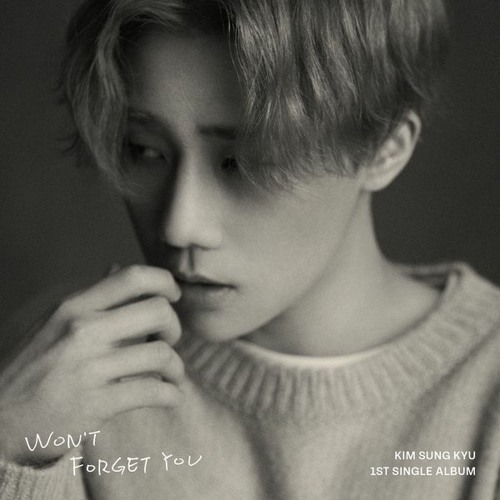 김성규 (Kim Sung Kyu) - You