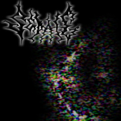 paraxyte