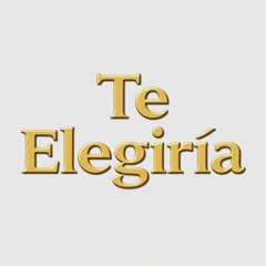 TE ELEGIRÍA.mp3