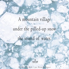 halF snoweD [naviarhaiku450]