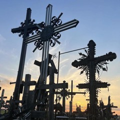 Marco Daze - Nature 24