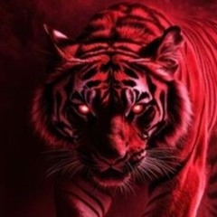 Tyger