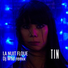 La Nuit Floue (DJ W!LD remix )