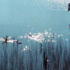 Al borde de la corriente