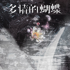 多情的蝴蝶 (DJEva版伴奏)